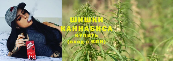 индика Заволжье