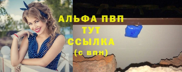 индика Заволжье