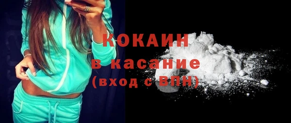 индика Заволжье