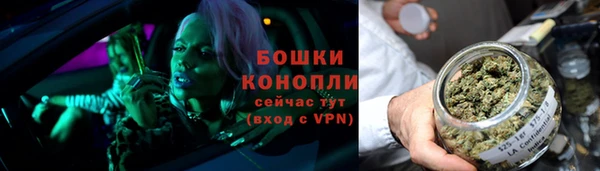 индика Заволжье