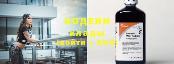 индика Заволжье