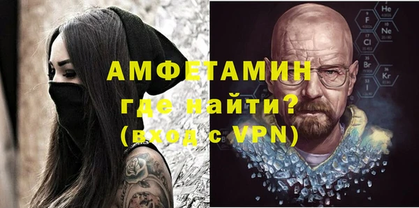 индика Заволжье