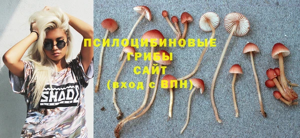 бутират Заводоуковск