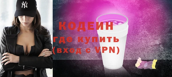 индика Заволжье
