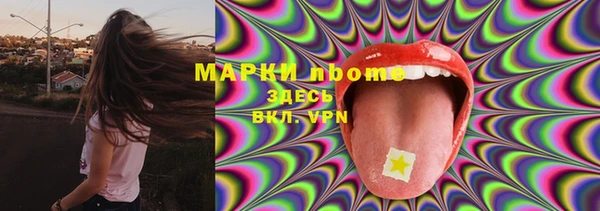 индика Заволжье
