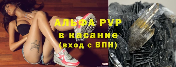 твердый Новосибирск