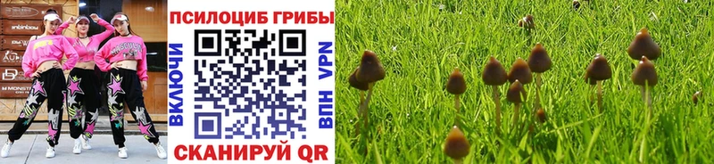 Псилоцибиновые грибы мухоморы  Миасс 