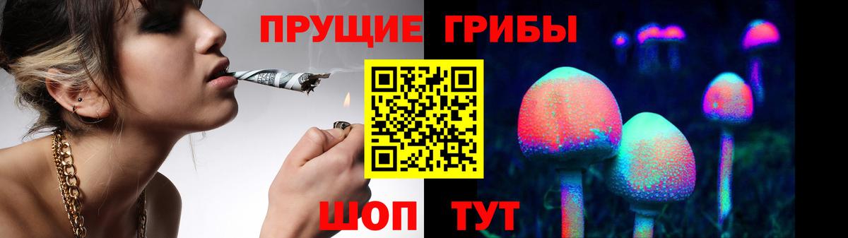 Псилоцибиновые грибы прущие грибы Миасс